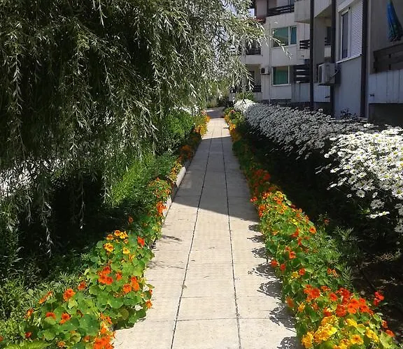 Caprice In Lozenec Kiten